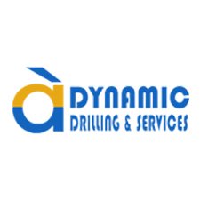 dynapic-drill
